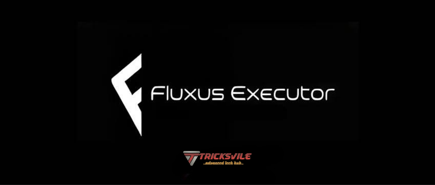 Fluxus Executor APK v2.664 Free LUA Script Executor 2025 2 Fluxus Executor APK