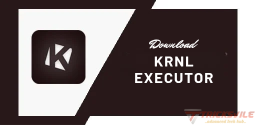 Krnl Executor APK v663 Free Roblox Script Executor for Android 2 KRNL Exector APK