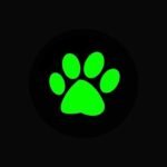 chat-noir-brasil-apk-icon (1)